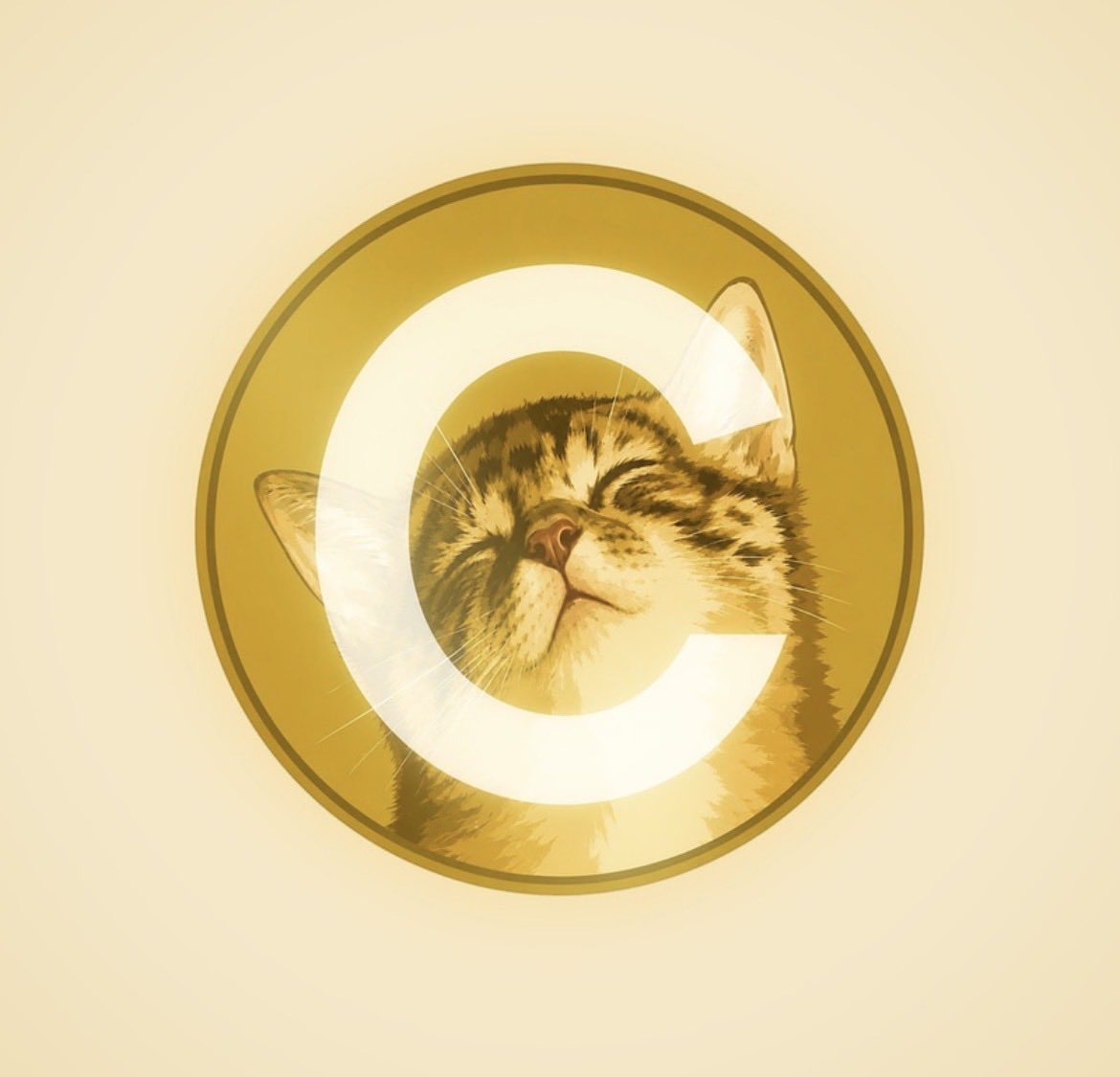 richy_meme_lord's tweet photo. Memecoins can be very volatile and tbh I don’t have the answer on what happened to $Cate

But what I do believe is that the reward far outweighs the risk with the sister of doge. 

Every big coin has a huge sell off, and THATS ALREADY BEHIND US.

I’m staying locked in. Check back in a few days 💕