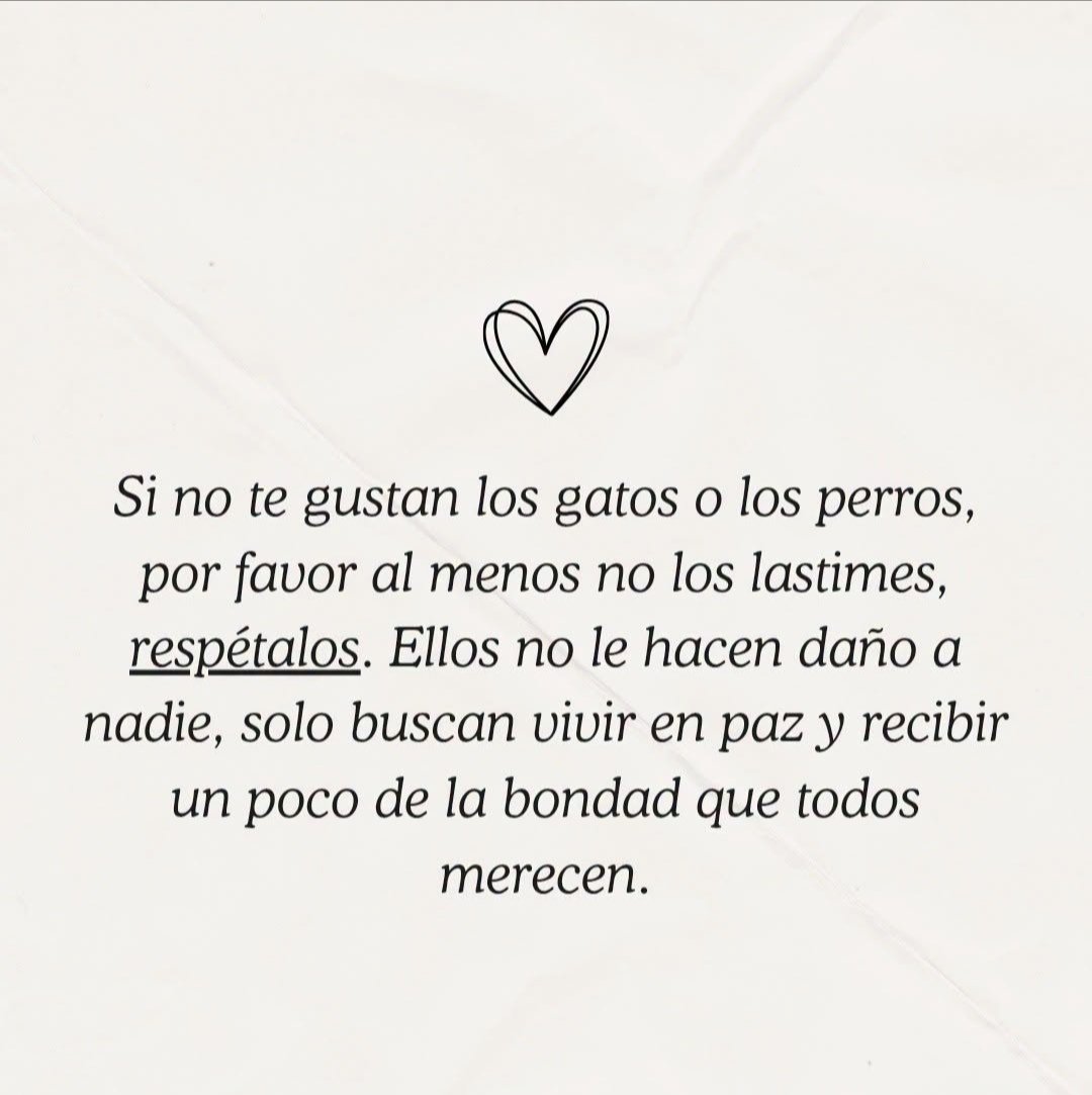ManuSaenzVolvio's tweet photo. Respetarlos es una obligación!
Amarlos un privilegio! https://t.co/DIdfaVw0Id