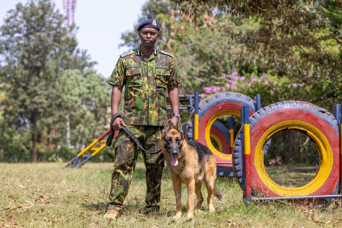 PoliceKE's tweet photo. Did You Know? 

​Under the updated organizational structure published in the Kenya Subsidiary Legislation, 2026, the Kenya Police Service includes the following key units and formations:

​ List of Formations, Units, and Components

​(a) The Kenya Police Service Headquarters
​(b) The General Service Unit (GSU)
​(c) The Kenya Police Traffic Unit
​(d) The Presidential Escort Unit
​(e) The Kenya Airports Police Unit
​(f) The Kenya Railways & Ports Police Unit
​(g) The K9 Police Unit
​(h) The Nairobi Metropolitan Police
​(i) The Diplomatic Police Unit
​(j) The Tourist Police Unit
​(k) The Kenya Police Marine Unit
​(l) The Kenya Police Quick Response Unit
​(m) The Government Vehicle Check Unit