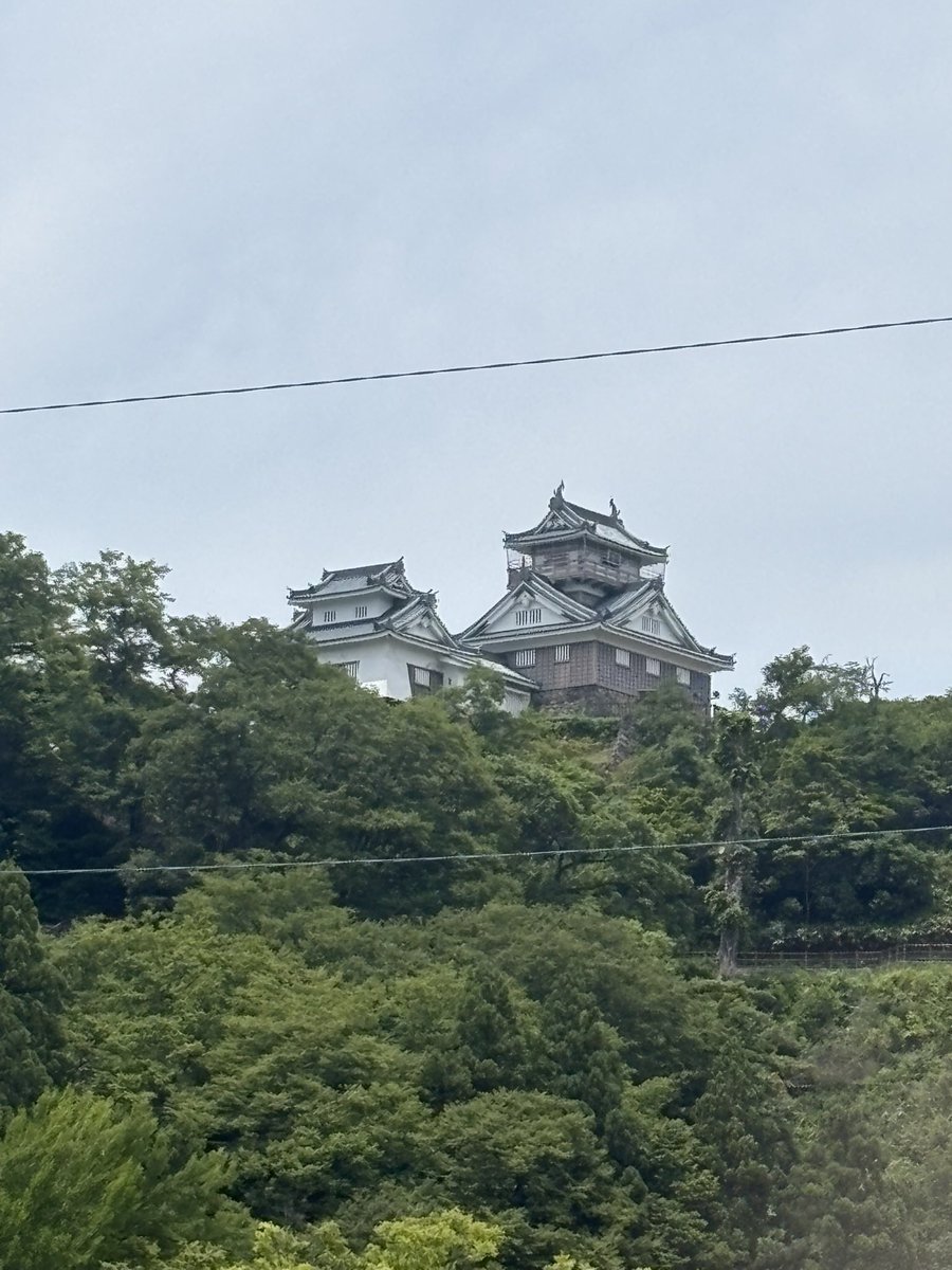 RiKuToKuSuMoTo tweet picture