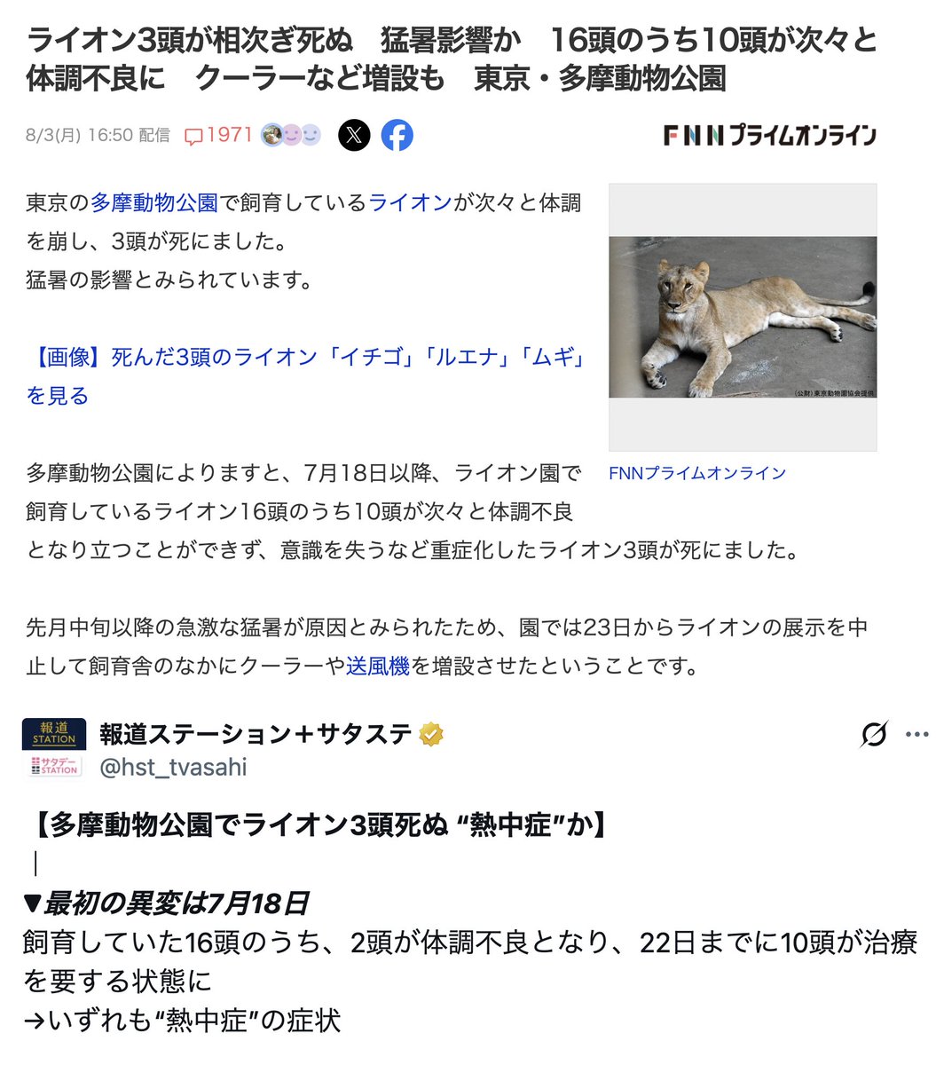 amasehimika147's tweet photo. 7月18日22日(オラクル)

コード173「動物園のライオンに重症、急死などの不運発生」

7月18日以降、ライオン16頭のうち10頭が次々と体調を崩し、3頭が死んだ。

18日から22日までに10頭が倒れて意識を失うなど重症化し治療を要する状態に。

ライオン3頭が相次ぎ死ぬ　猛暑による熱中症　多摩動物公園 https://t.co/8vrLpfzQvs