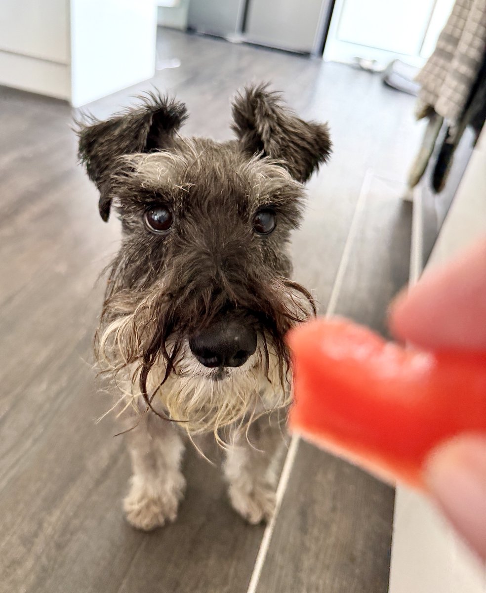 dogsrri's tweet photo. https://t.co/TMuh5VDpus