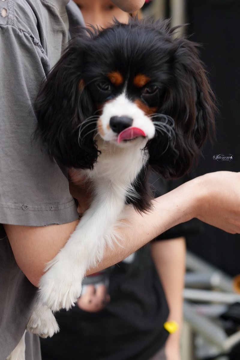 Moo_Mint's tweet photo. นิคเค่อกลับปักกิ่งนู๋มีที่ขัดฟันหรือยังคับ..
5555555555555555555 หยอกฟ https://t.co/bN7PVsLK3E