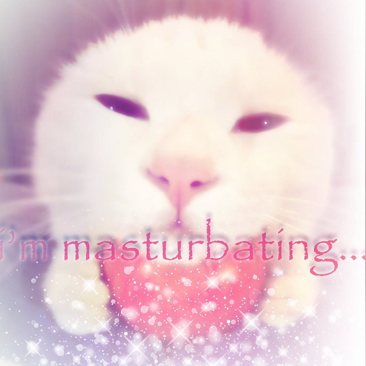 FurryGYATTLover's tweet photo. @schlebuttsy https://t.co/4APshV2g36