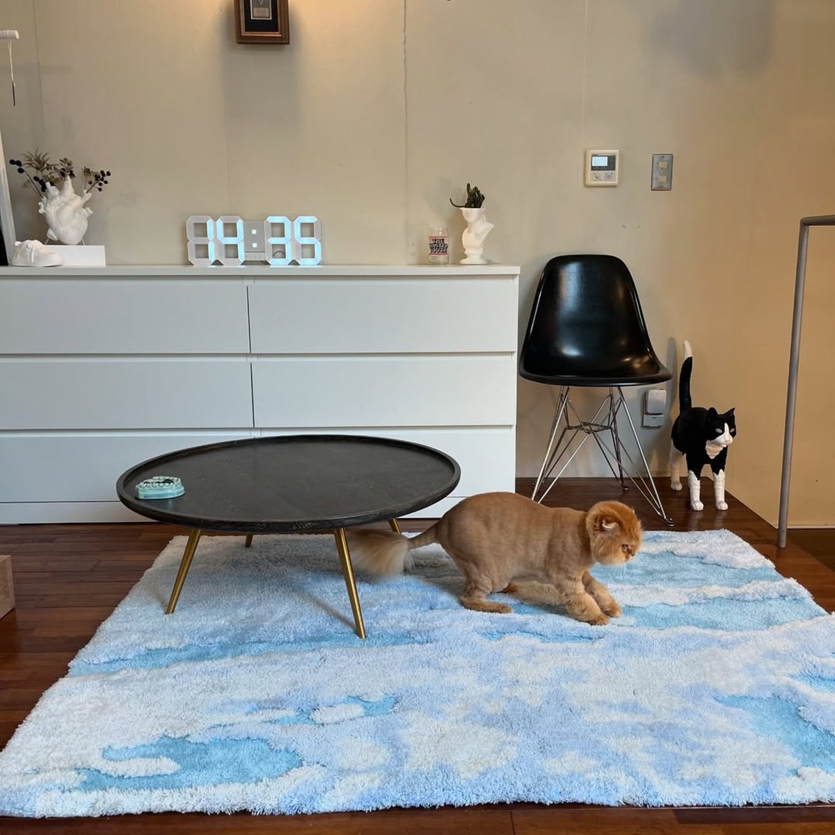 MIYOSHI RUG / EVANS (@miyoshirug) / Posts / X