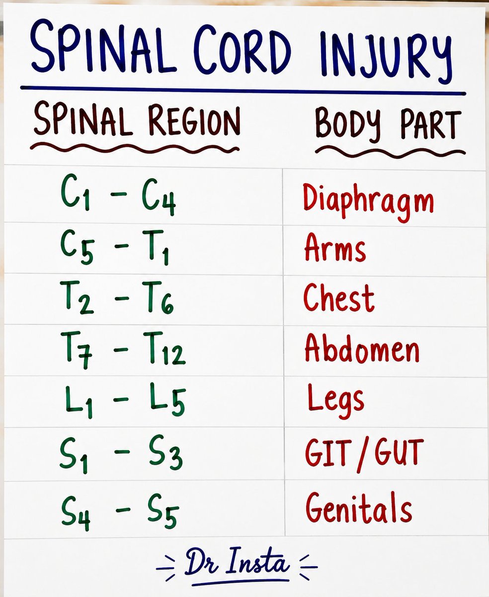doctorinstaha's tweet photo. Spinal Cord Injury.
#SCI #Spine #Trauma #Neuro #Rehab #ER #ICU #MedEd #Medicine #DrInsta https://t.co/5mi8KOhxv6