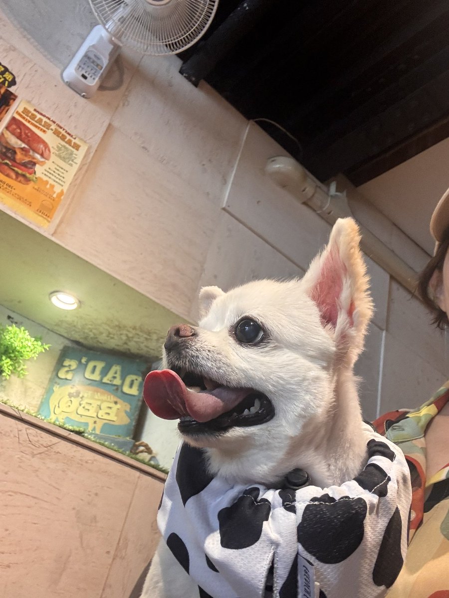 momo215212's tweet photo. layersに🍔を食べに来た♪ https://t.co/o8fBUzqraA