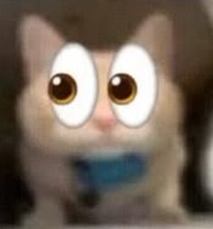 fallenafterdawn's tweet photo. Eu fico gag que a comunidade de subliminal do TikTok é 8 ou 800, você pode achar um sub pra conseguir imitar o Cebolinha perfeitamente e logo depois aparecer um sub pra conseguir drogas #ldstwt #loatwt https://t.co/VokqMAukHs
