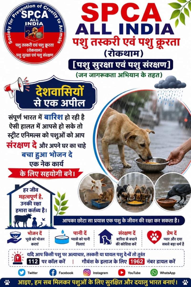 spcaallindia's tweet photo. https://t.co/WPMn61kfan