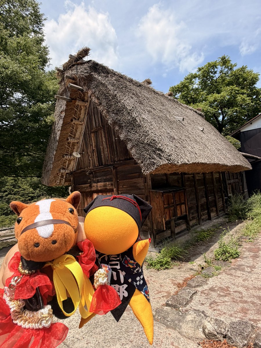 ordeep520's tweet photo. 金沢（&amp;白川郷）旅行に行ってきました！
前田利家を祀っている尾山神社で勝ち守りを買ってきたので、ロブチェン三冠祈願に送りたい……現役馬に送ったことないんだけどネットで調べたように厩舎宛に送れば良いのかなあ…… https://t.co/ymdIWF3SLe