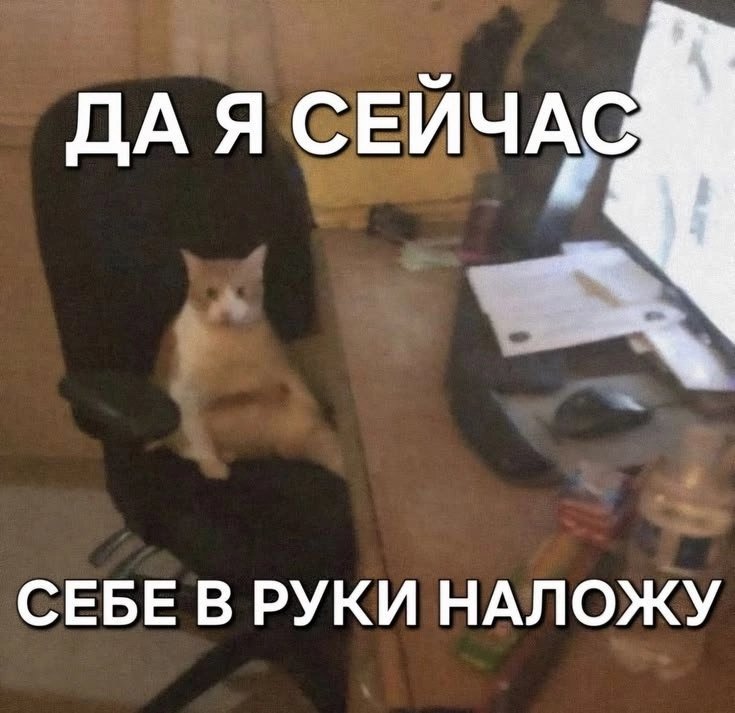 Yokaton tweet media