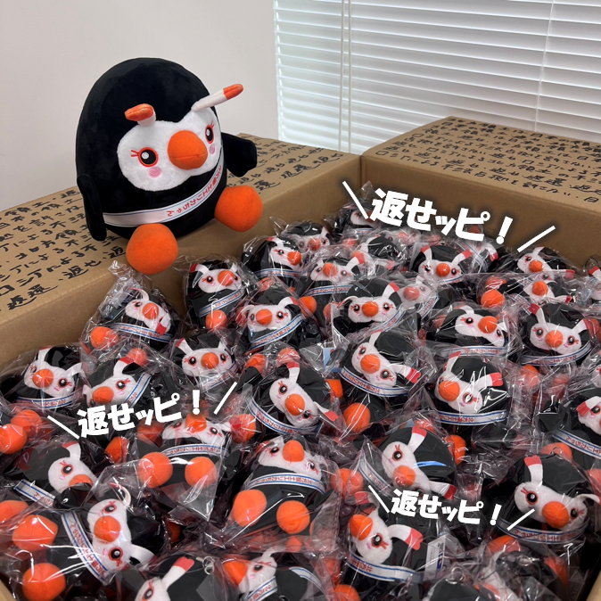 hoppou_erika's tweet photo. エリカがいっぱいだッピ♪

みんなのところに行くのが楽しみだッピ！
可愛がってくれるっピよね？

#北方領土エリカちゃん
#キャンペーン https://t.co/NfSna21CVQ