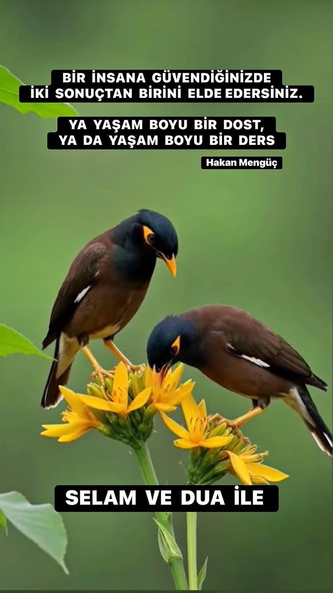 HakkNaz's tweet photo. https://t.co/honvv4JHqK