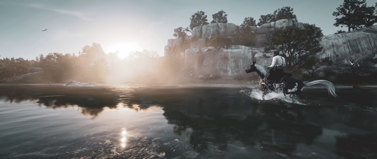 whoisci's tweet photo. Red Dead Redemption 2 https://t.co/jaa2fswv4Y