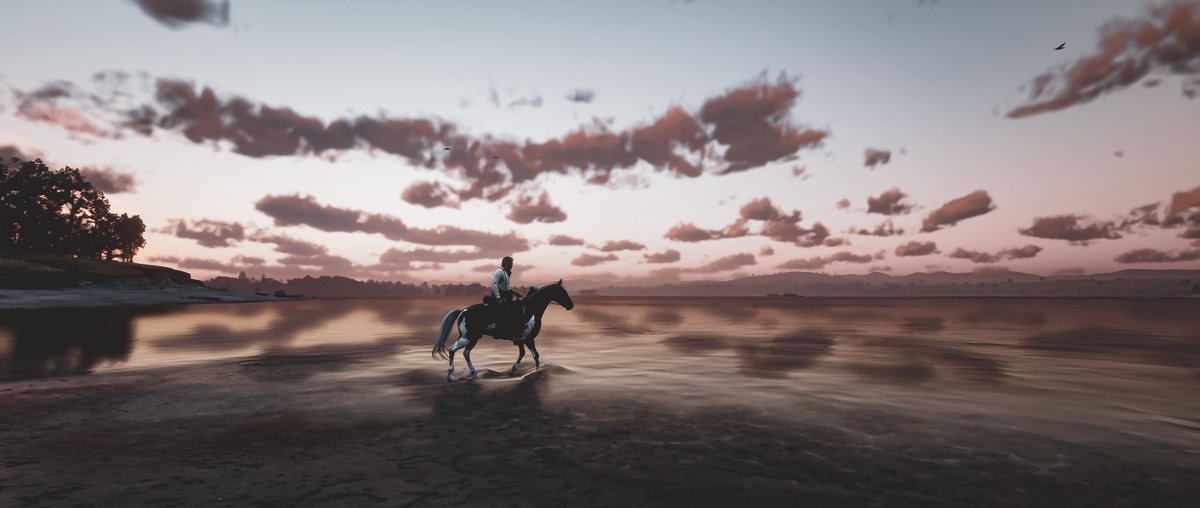 whoisci's tweet photo. Red Dead Redemption 2 https://t.co/jaa2fswv4Y