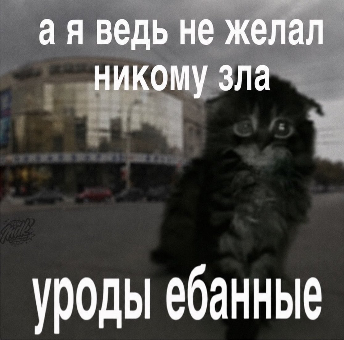kkkkkkkk_rt's tweet photo. второй рабочий день после отпуска, а я уже кончилась https://t.co/ttIgIxqzqF