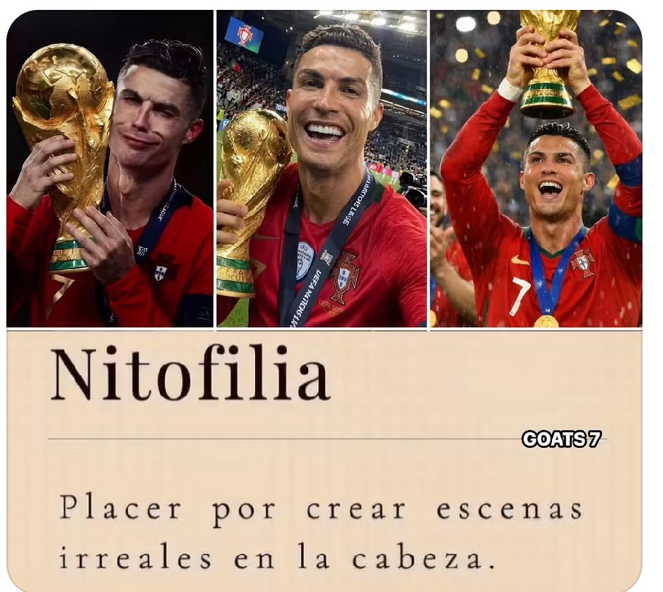 cechpa1's tweet photo. @h0rm0natt0ressi @arielipillo Sigue llorando hijo de perra jaja el violador condenado portugues que tuvo que pagar para que no lo encarcelen en usa nisiquiera tiene la triste medalla de bronce. Ni un podio en 6 mundiales.El peor jugador de la historia en mundiales. Eso si tiene el record de mas derrotas (8)😭 https://t.co/P7h1gB5QKp