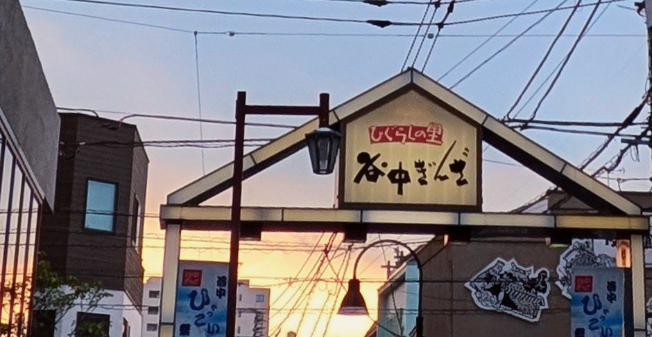 ktanakashi's tweet photo. 【母さん遠征の思い出】
8/1 谷中銀座
聖地が詰まっておる、夢の国だった…
滝汗で食べるイカ焼き最高!
ビールがすすむこと!(笑)
美味しいもの沢山食べて、目にもお腹にも楽しすぎた♡
#いか焼やきや
#ilot
#CHAYA松緒
#ザクロ ←お姉さん談最高でした🤣 https://t.co/HRLFK5ic4z