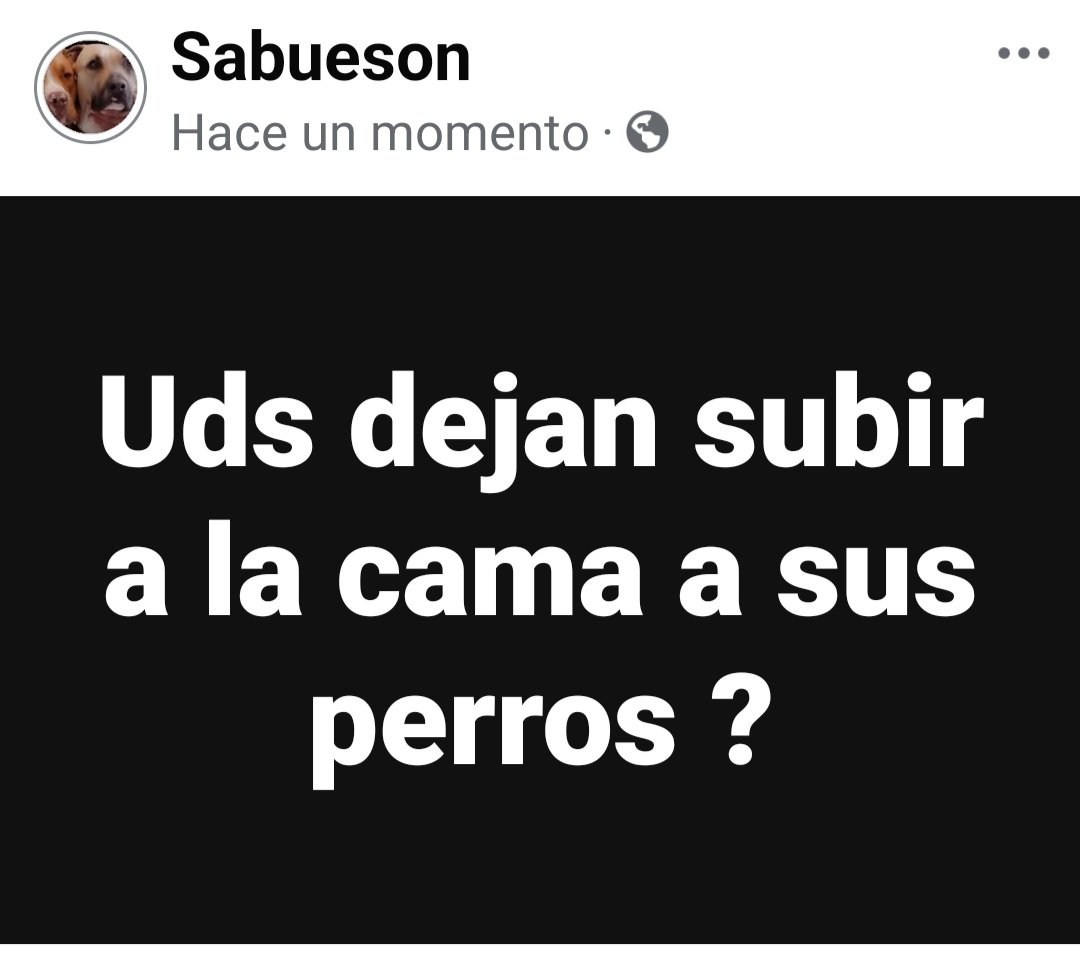 Sabueson's tweet photo. https://t.co/S920vAYggk