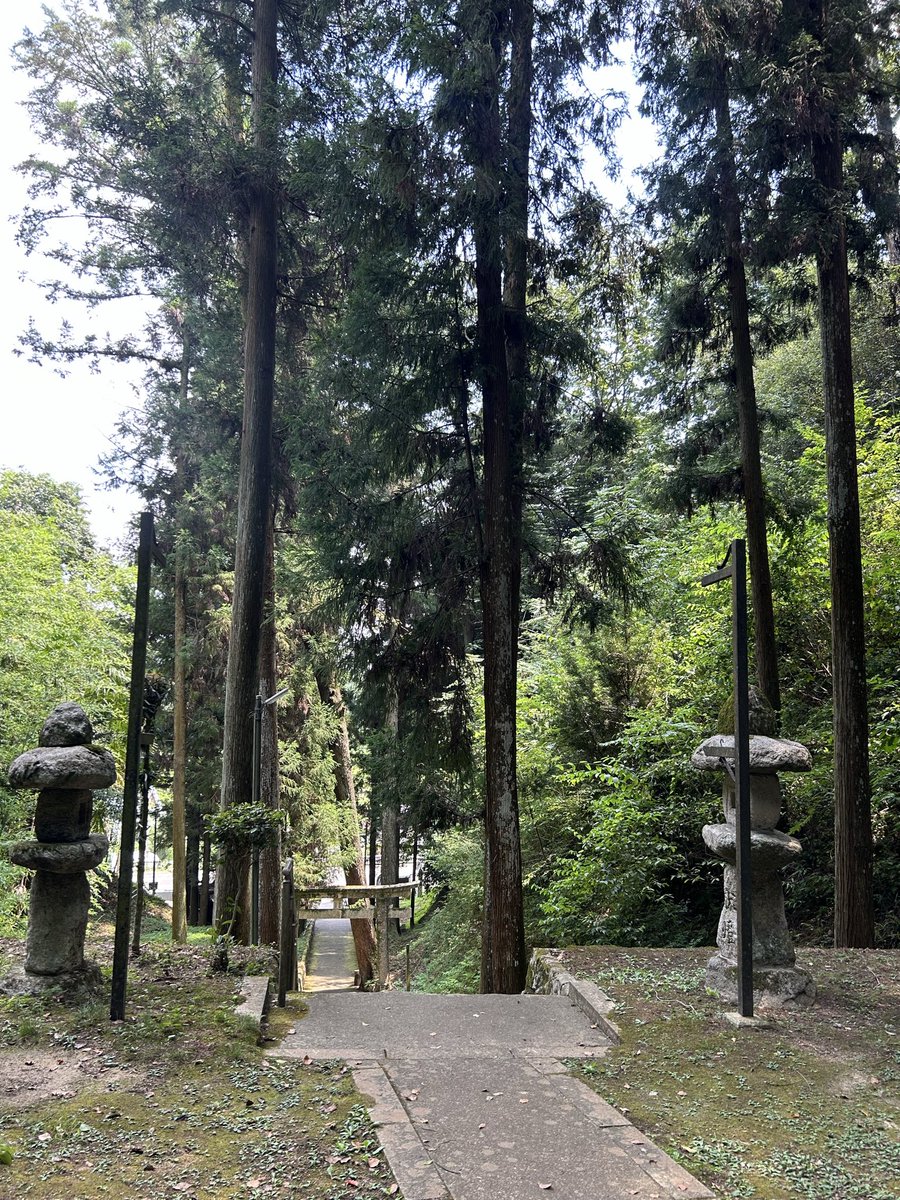 keikomix's tweet photo. 神社巡りの不思議ないちにち

マイナスイオンたくさんもらいました https://t.co/E8oYdTpBdu