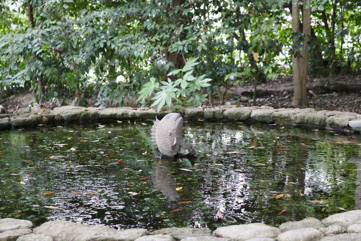 keikomix's tweet photo. 神社巡りの不思議ないちにち

マイナスイオンたくさんもらいました https://t.co/E8oYdTpBdu