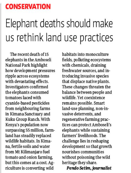 PendoSetim's tweet photo. The deaths of 15 elephants in Amboseli reveal how development pressures disrupt ecosystems. KWS Director General Erastus Kanga said the tragedy reflects six decades of change, as farmland steadily replaced wildlife habitats.

Vybz Kartel #MainaAndKingangi respect the environment https://t.co/FNvQqAWZHB