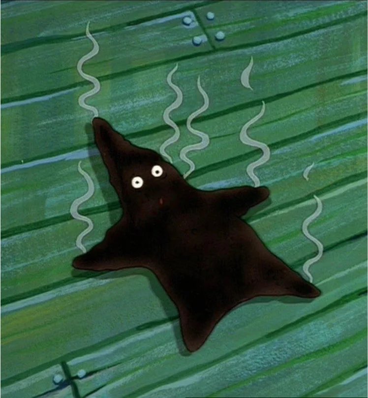 colinarmis's tweet photo. MY CHICKEN STARS NOOO https://t.co/bpPSSdAxRf