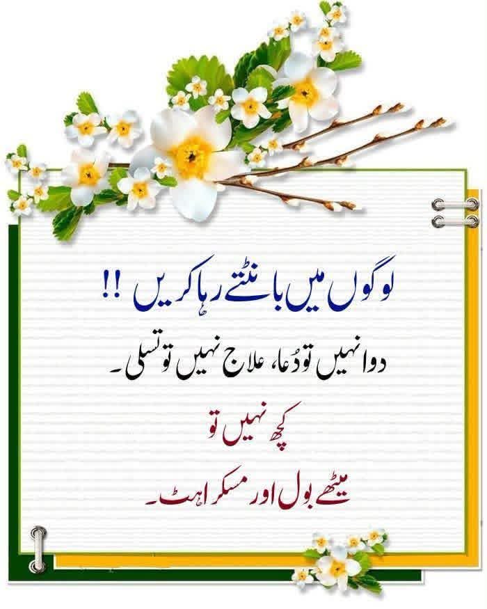 mianshahidzaman's tweet photo. https://t.co/xv6AUbuytR