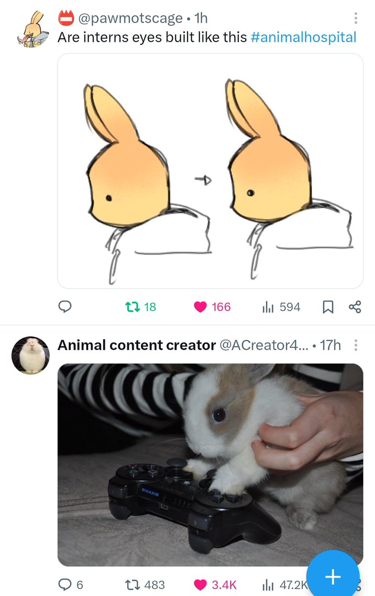 SSpiderScience's tweet photo. @pawmotscage I like that https://t.co/M0F1fYqYlu