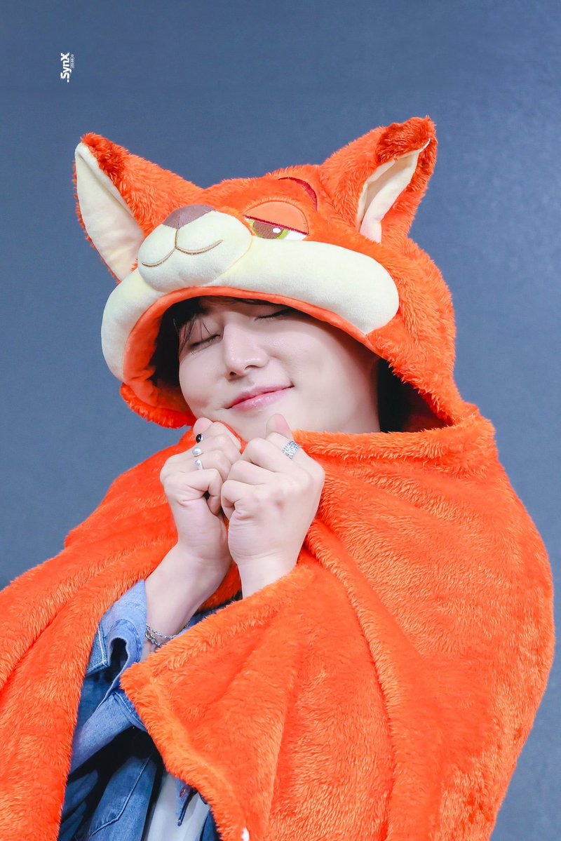 bandew_'s tweet photo. 어떡해....................................................................... https://t.co/biTeKbcp5S