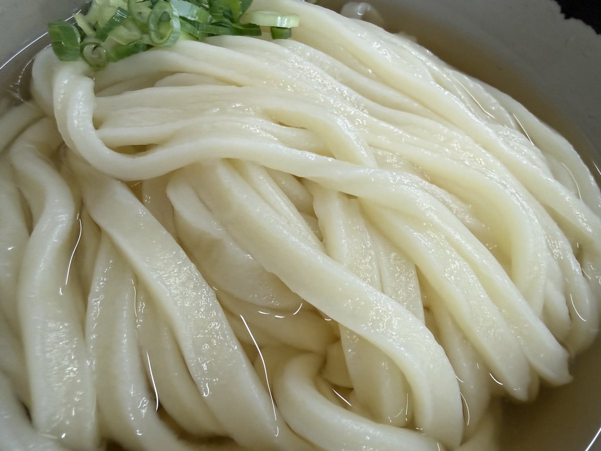 10cm_3's tweet photo. 火曜日の大将くん×かけ(そ)、野菜＠山もりうどん

暑い時に実践したい熱いうどんの粋な食い方シリーズ

開店前に行って一番に並んでエアコンの前の席をぶんどる。

#讃岐���どん
#山もり
#そのまま https://t.co/sBLdIiXfkj