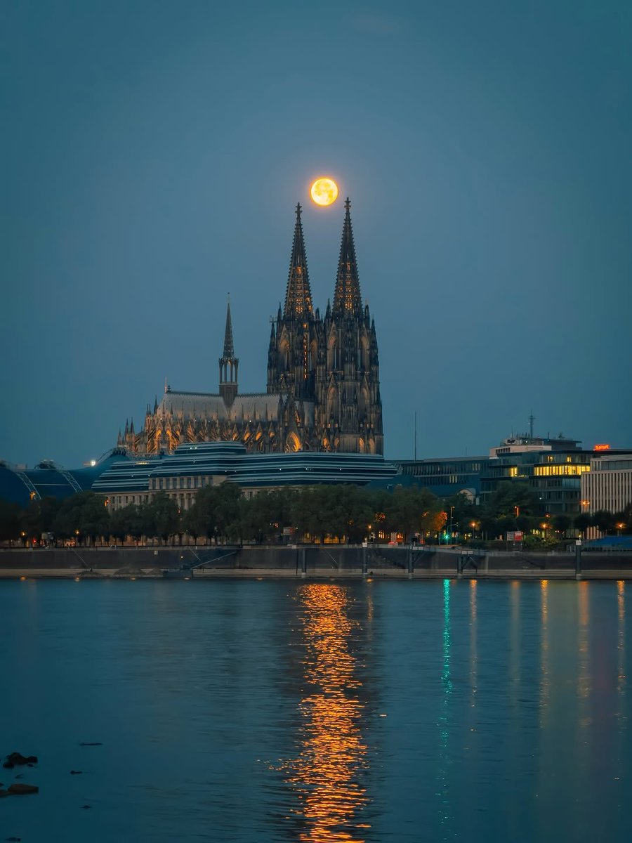 WildscapeWonder's tweet photo. Cologne, Germany 🇩🇪 https://t.co/R0k6CJOMWQ