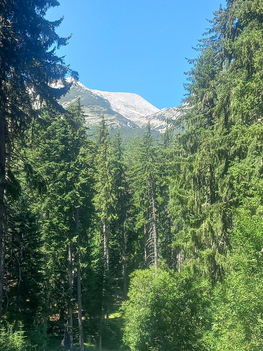 witchesla tweet picture