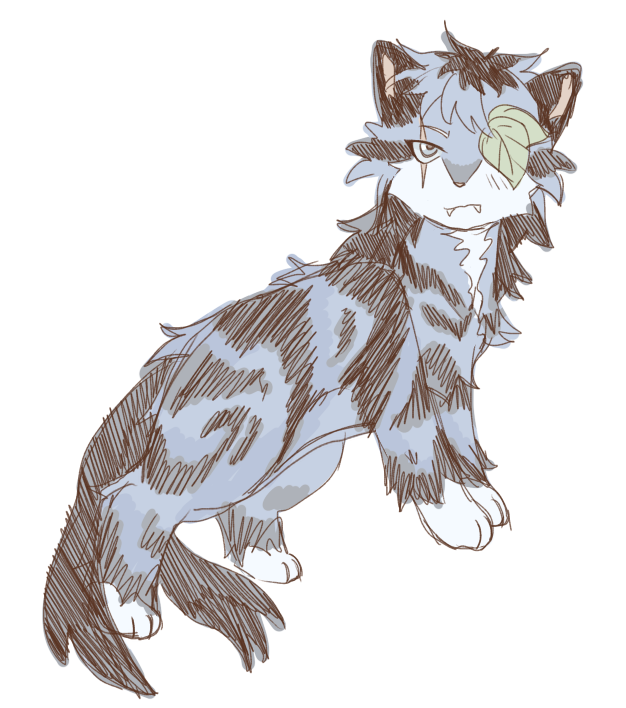 illuksun's tweet photo. did i ever post this ygm warrior cat sketch i did. idk https://t.co/SCXDGJN62H