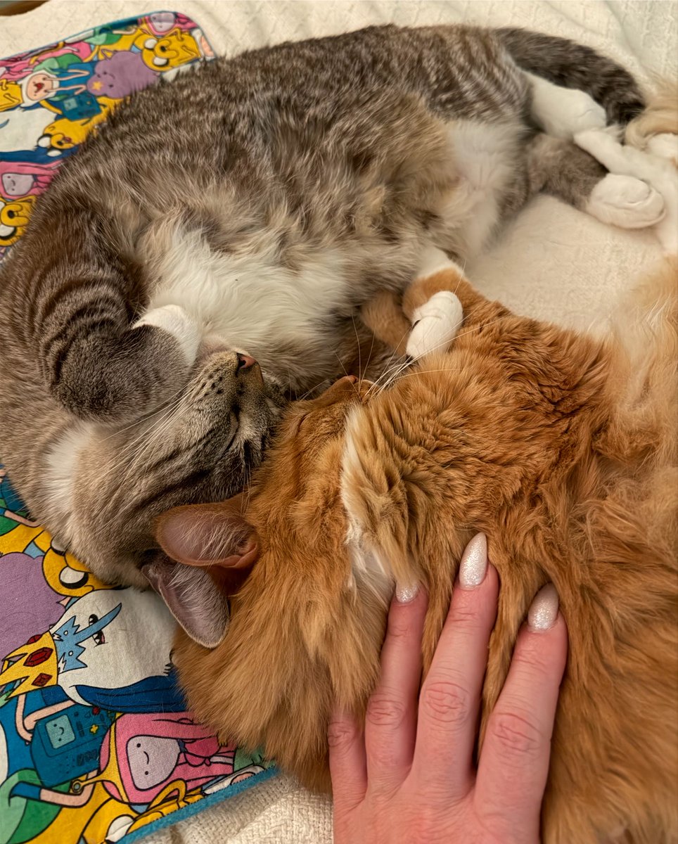 ItsMeDeaner's tweet photo. ni ni cuddles https://t.co/E1nyRsplQC