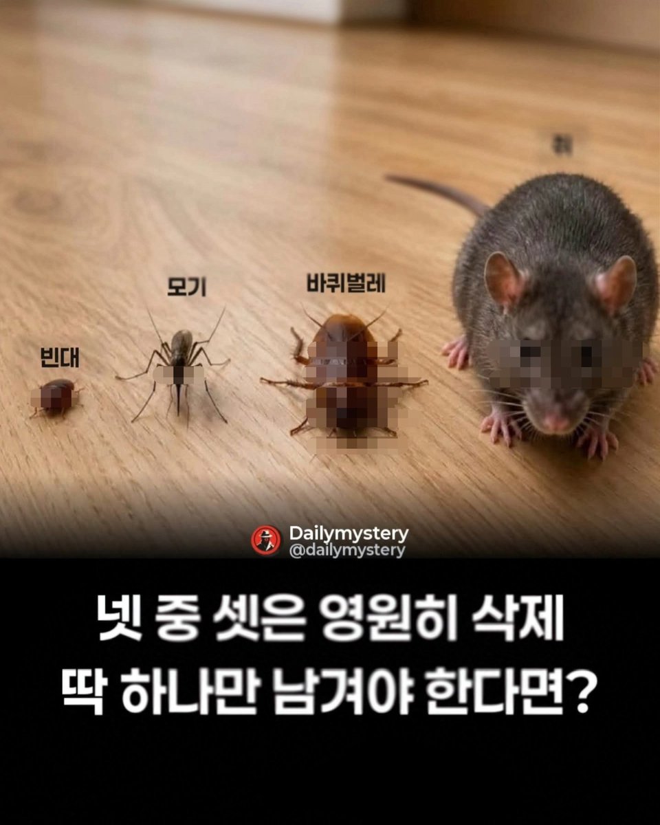 kmw4hero's tweet photo. 이 중 셋만 영원히 삭제하고
딱 하나만 남겨야 한다면?

난 모기만 빼면 뭐든 상관없다.. https://t.co/5ZaHKT3ql6