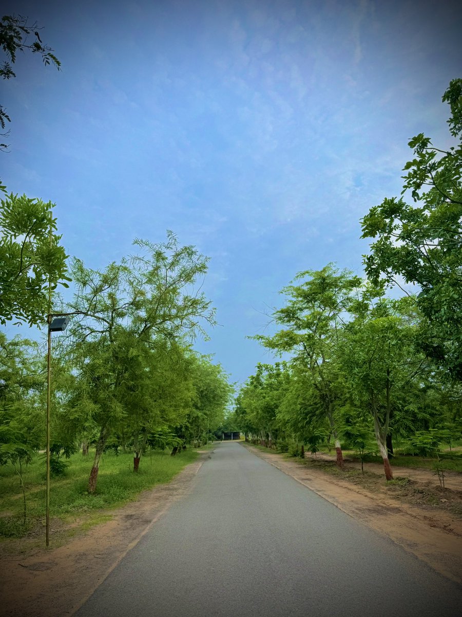 gap166's tweet photo. પ્રકૃતિની ગોદમાં મળતી શાંતિ, દુનિયાની કોઈ દોલત ખરીદી શકતી નથી.🌳☁️ https://t.co/QIWbeEbVnc