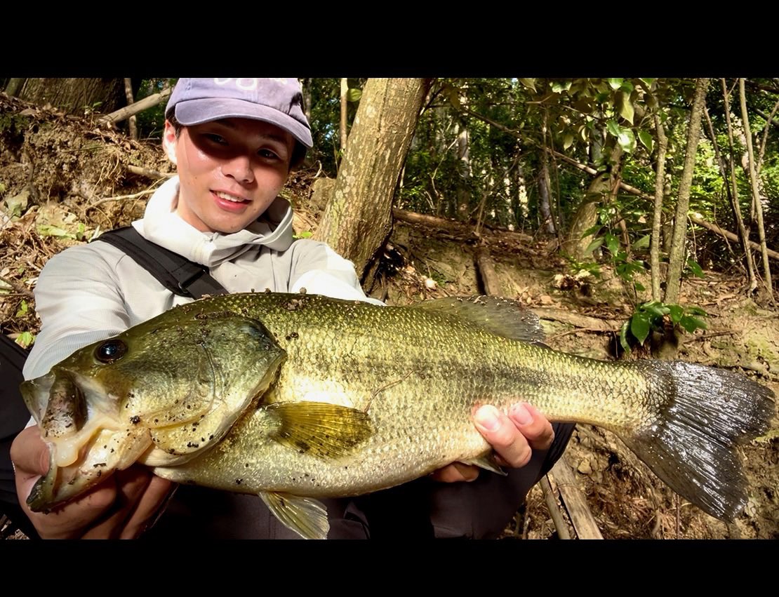 koki_fishing04's tweet photo. 実は自分はバサーなのです🫡
高知遠征で知り合った方に教えてもらった池に調査してきました
ヴァラップスイマーとギャップジグで合わせて2本　
あまりにも霞水系すぎる釣り方でした😆 https://t.co/0aeF9lQMVX
