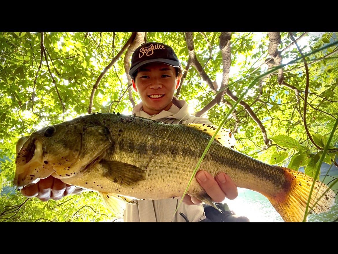 koki_fishing04's tweet photo. 実は自分はバサーなのです🫡
高知遠征で知り合った方に教えてもらった池に調査してきました
ヴァラップスイマーとギャップジグで合わせて2本　
あまりにも霞水系すぎる釣り方でした😆 https://t.co/0aeF9lQMVX