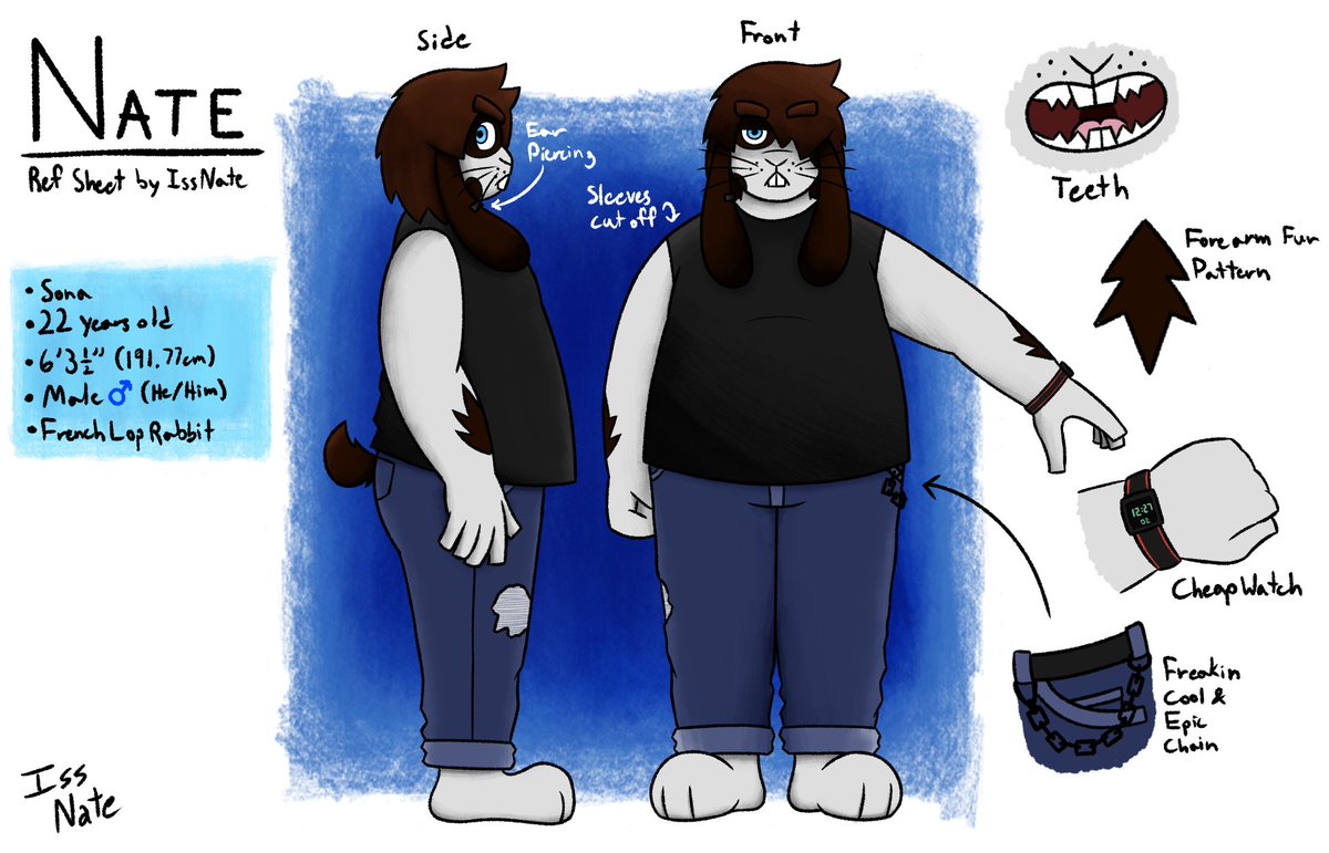 issnateYT's tweet photo. new reference sheet for my oc https://t.co/mQGUMBzx1g