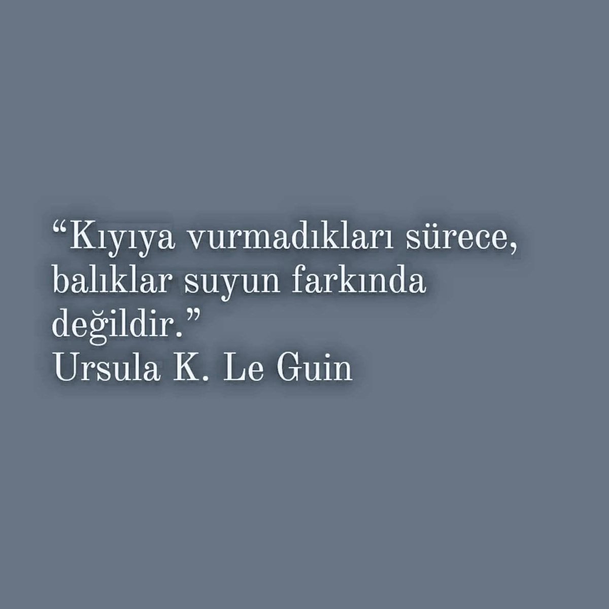 KadriyePervan's tweet photo. https://t.co/p9ZCYcz3vl
