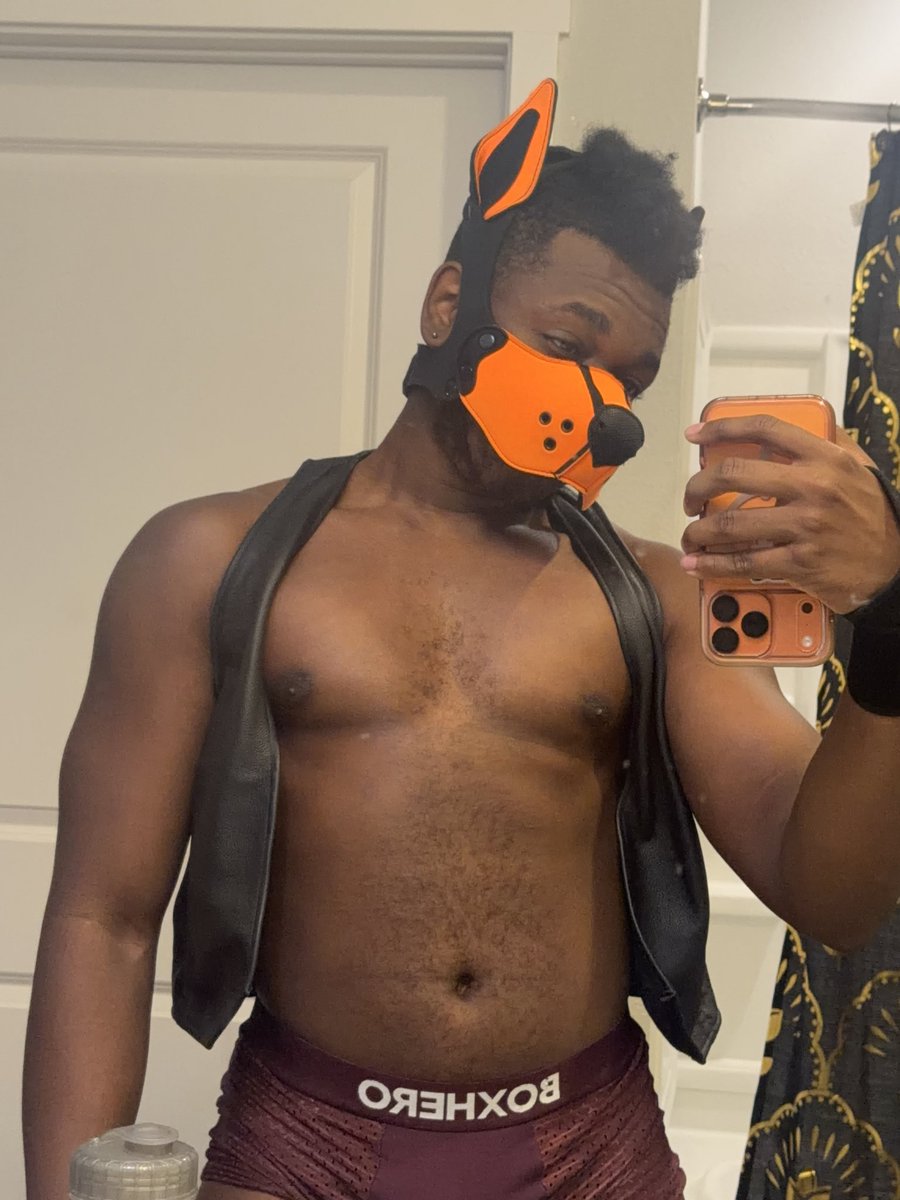 R0verPup's tweet photo. At least the vest still fits after like 2 years 🤷🧡 https://t.co/acvsUgmBGv