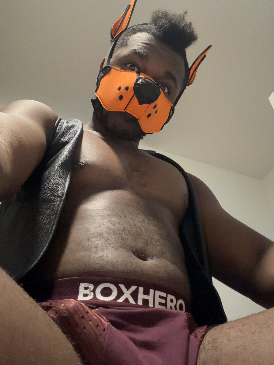 R0verPup's tweet photo. At least the vest still fits after like 2 years 🤷🧡 https://t.co/acvsUgmBGv