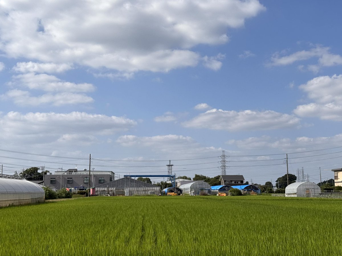 peapcqc's tweet photo. 夏の空と、青々と広がる田んぼ、そして何気ない景色

#イマソラ
#写真の奏でる私の世界 
#ファインダー越しの私の世界 https://t.co/vY9RDcZBF6