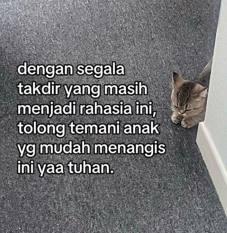rafikarchmwt's tweet photo. https://t.co/TOxtQ5ITv3