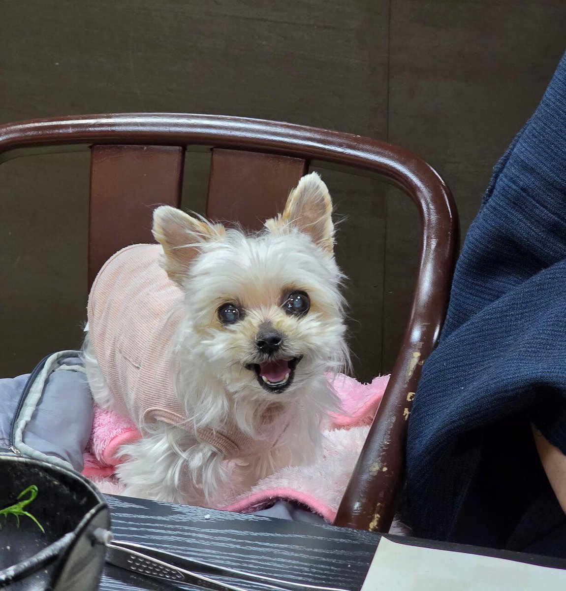 petyadocom's tweet photo. 口コミを更新しました♪

桃の木温泉 さんわそうの口コミ・感想（山梨県｜八ヶ岳・小���沢・清里・大泉） https://t.co/xJlvjufAjw https://t.co/X2HTxVZuCl