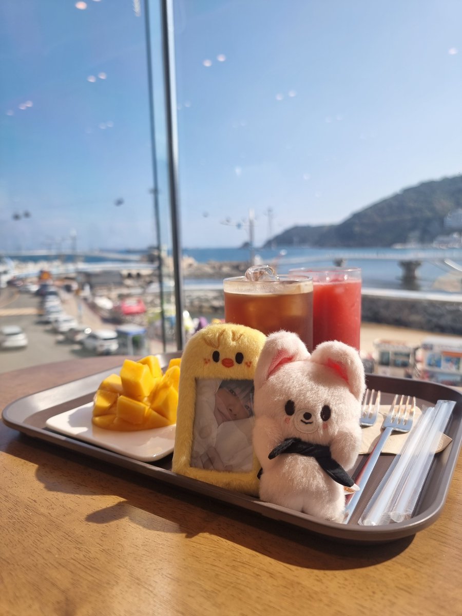 bbokari_meow's tweet photo. 부산 조타 https://t.co/KkNu3ixCWP