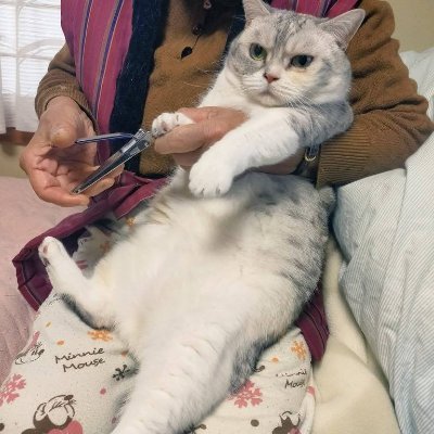 liz30368's tweet photo. New chapter begins ☀️ 🍀 💪 https://t.co/YV7sGF2tLg