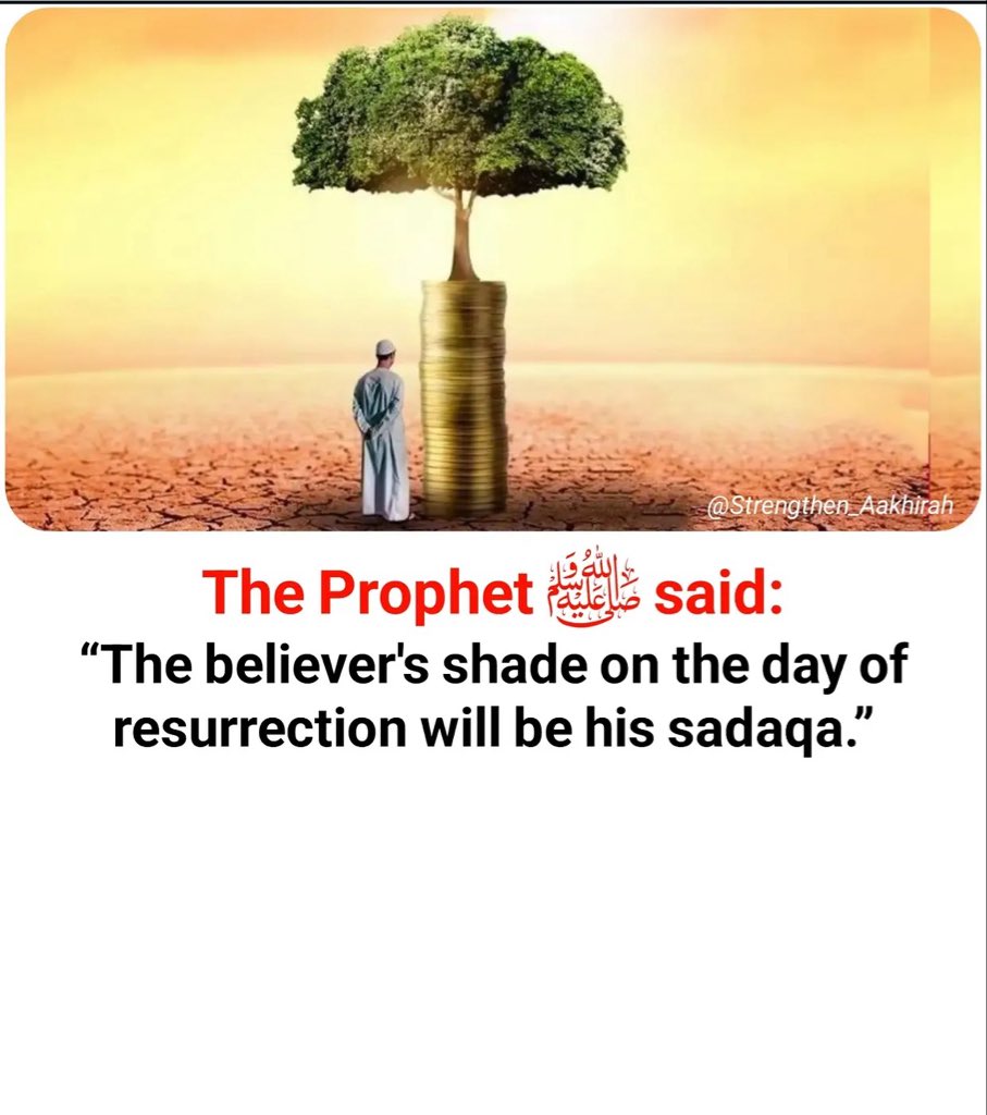 HaleematourS's tweet photo. The Messenger of Allah ﷺ said: https://t.co/eVwqqLWGpw
