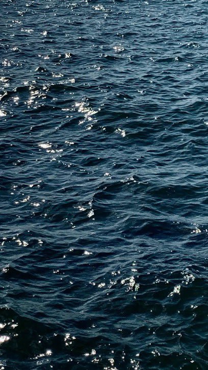 oceanweavee's tweet photo. lost in blue https://t.co/DH9r3LOEif